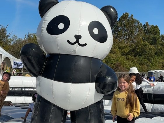 Child standing beside a large inflatable panda at a previous Panda Fest event