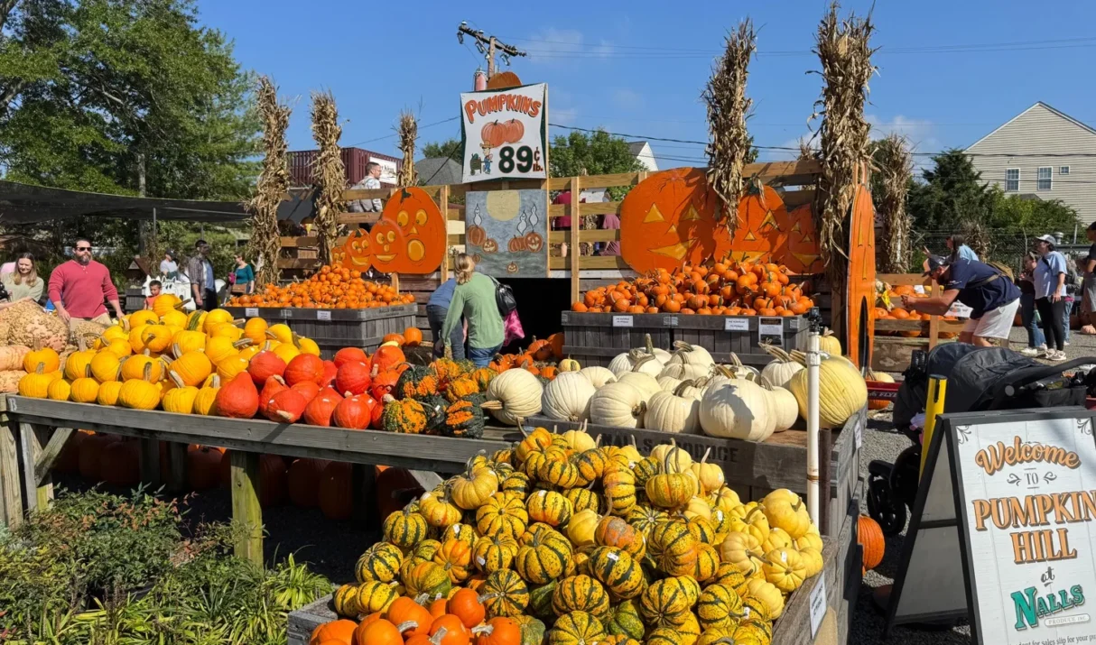 Best Fall Festivals in Northern Virginia 2026: Dates, Tickets and What to Know