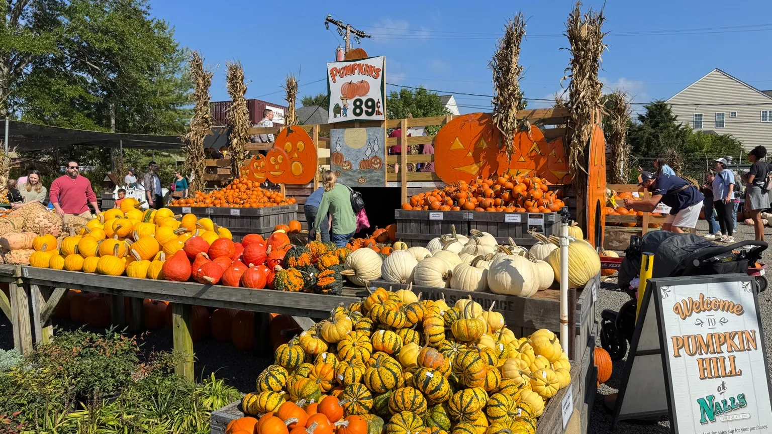 Best Fall Festivals in Northern Virginia 2026: Dates, Tickets and What to Know