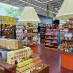 Inside Orange Pocket at Rio Lakefront in Gaithersburg before opening: tables of blind boxes and plush under lamp-shade lights, with Pokemon plush and snack shelves along the walls