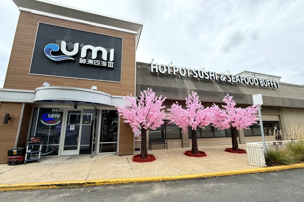 UMI Hot Pot Sushi & Seafood Buffet storefront at 4650 King Street in Alexandria on opening day, with pink blossom trees outside the entrance