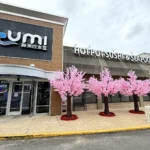 UMI Hot Pot Sushi & Seafood Buffet storefront at 4650 King Street in Alexandria on opening day, with pink blossom trees outside the entrance